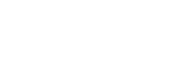 CITmax Fibra